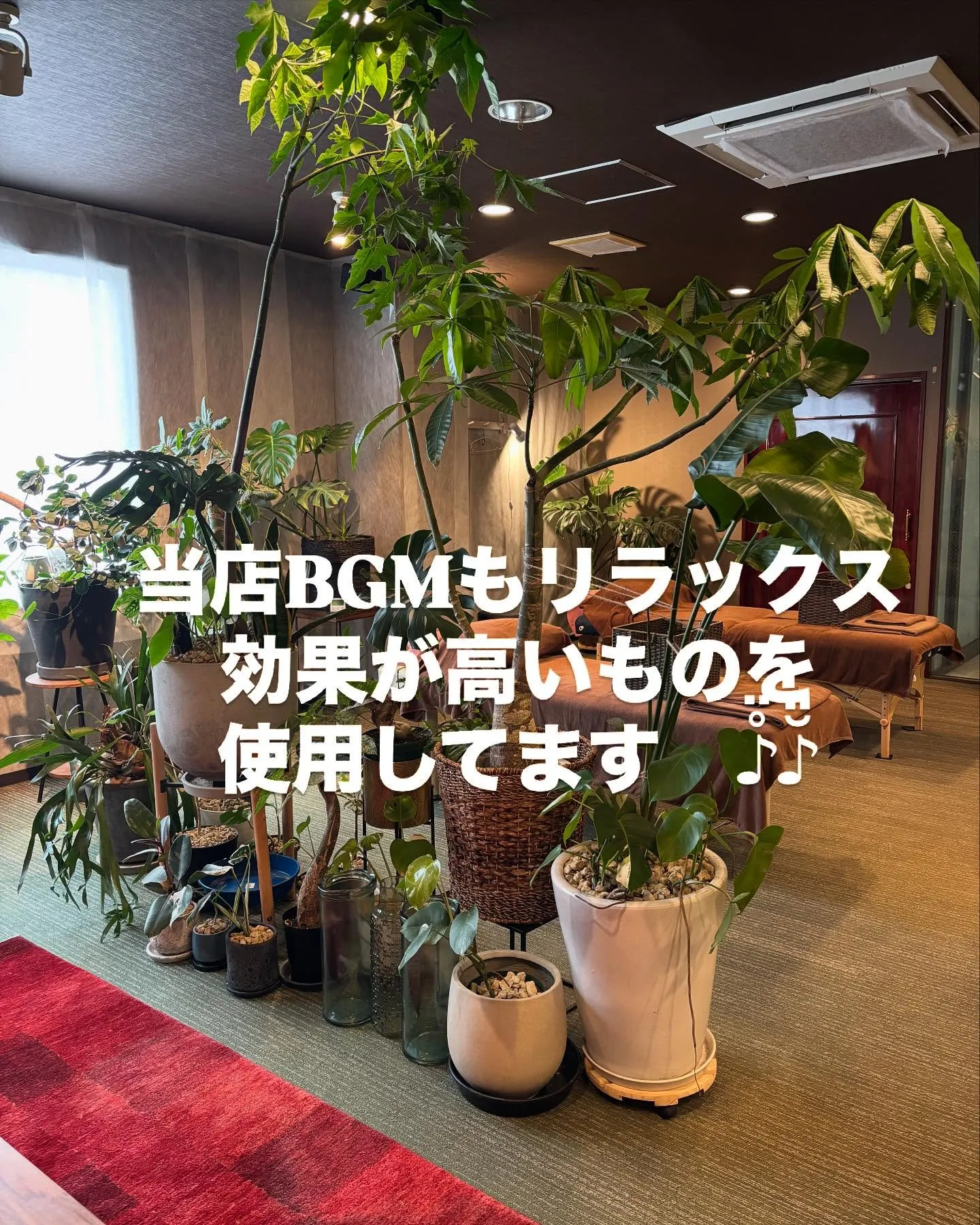 本日　店舗前アーケード内と周辺にて