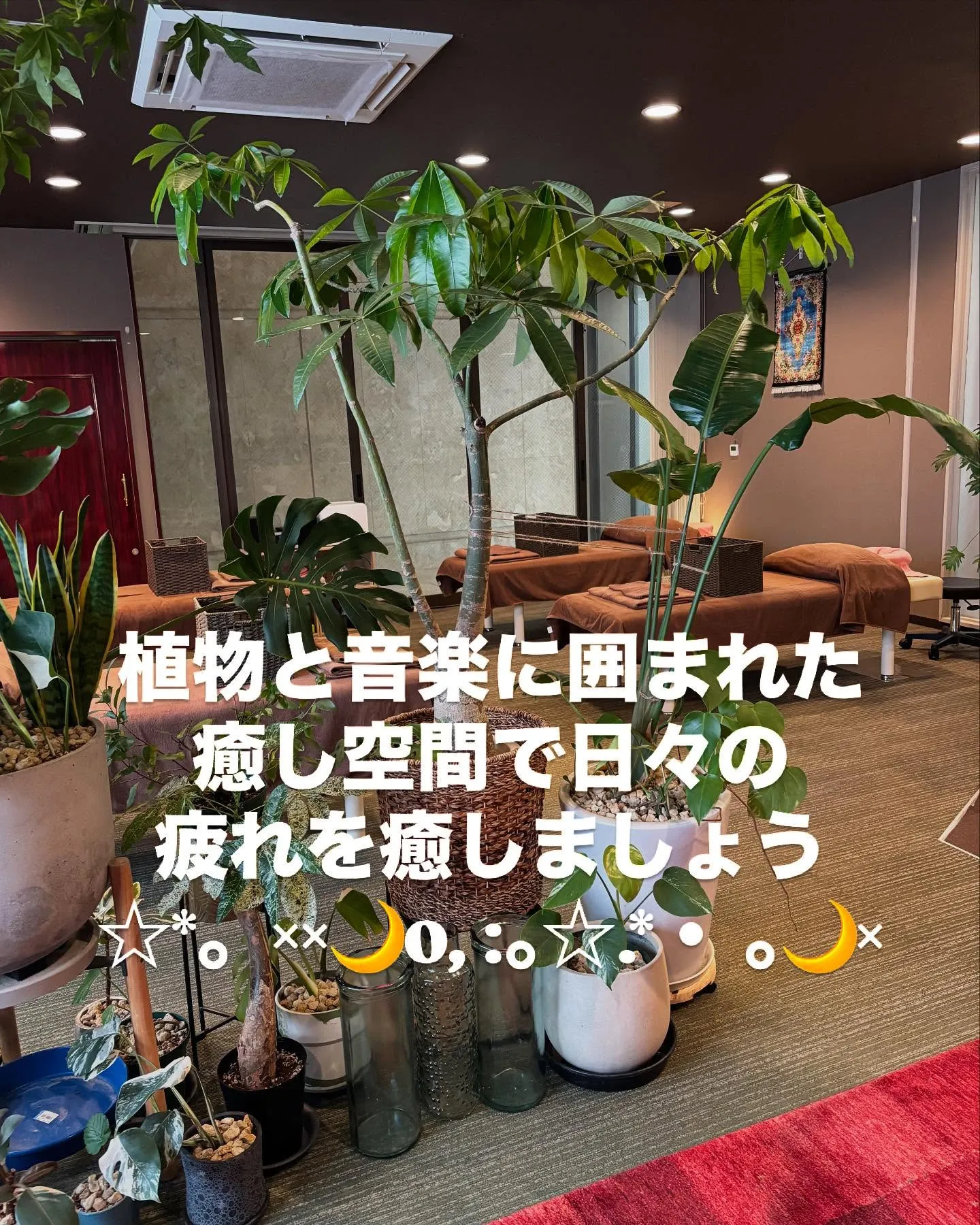 本日　店舗前アーケード内と周辺にて