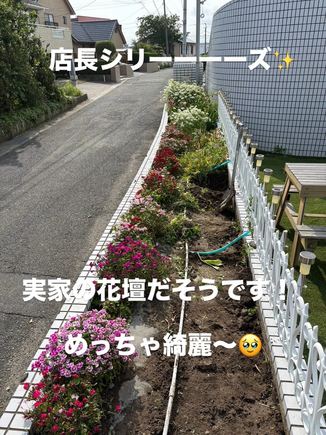 久々の店長シリーズ🤣