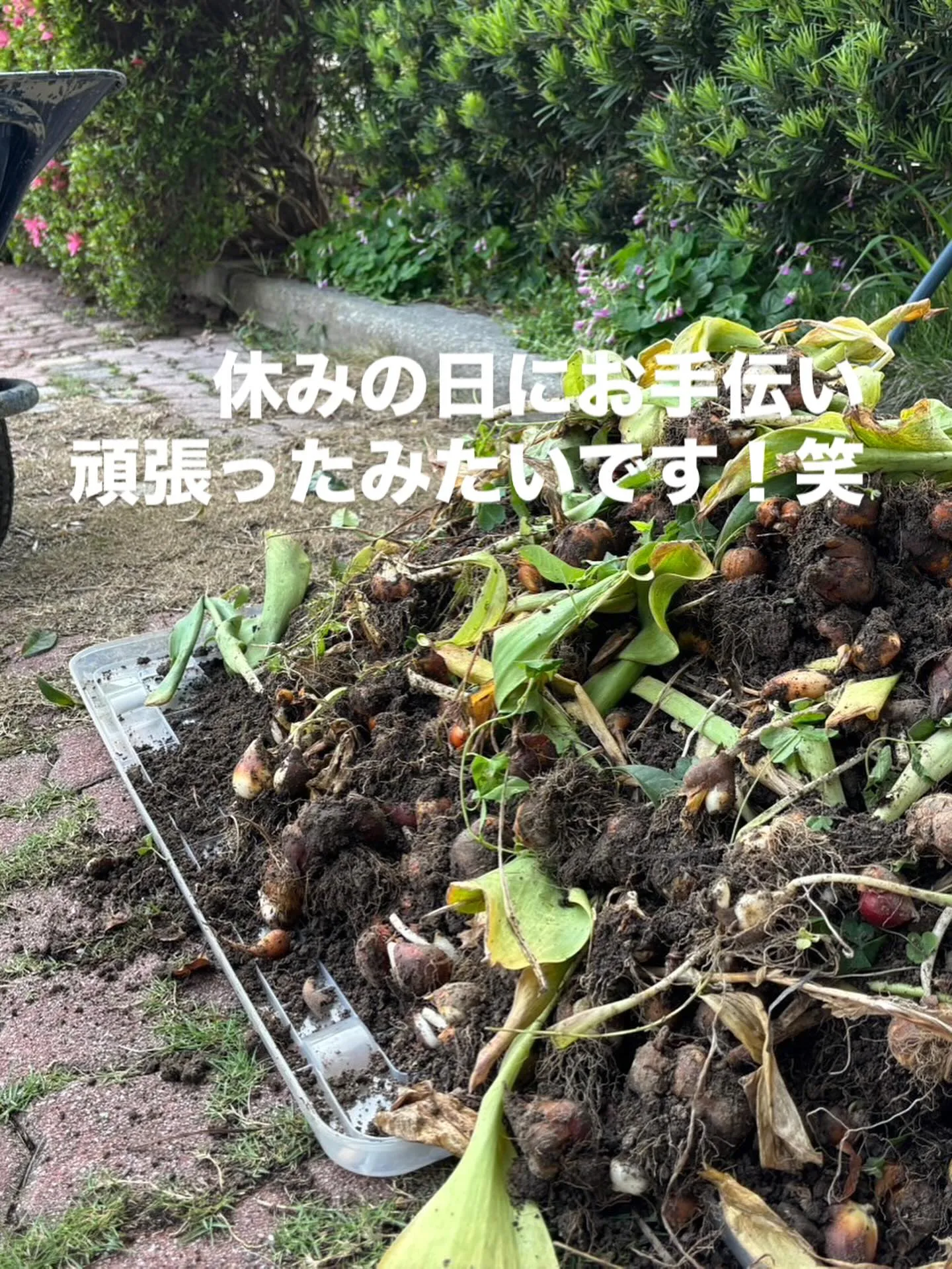 久々の店長シリーズ🤣