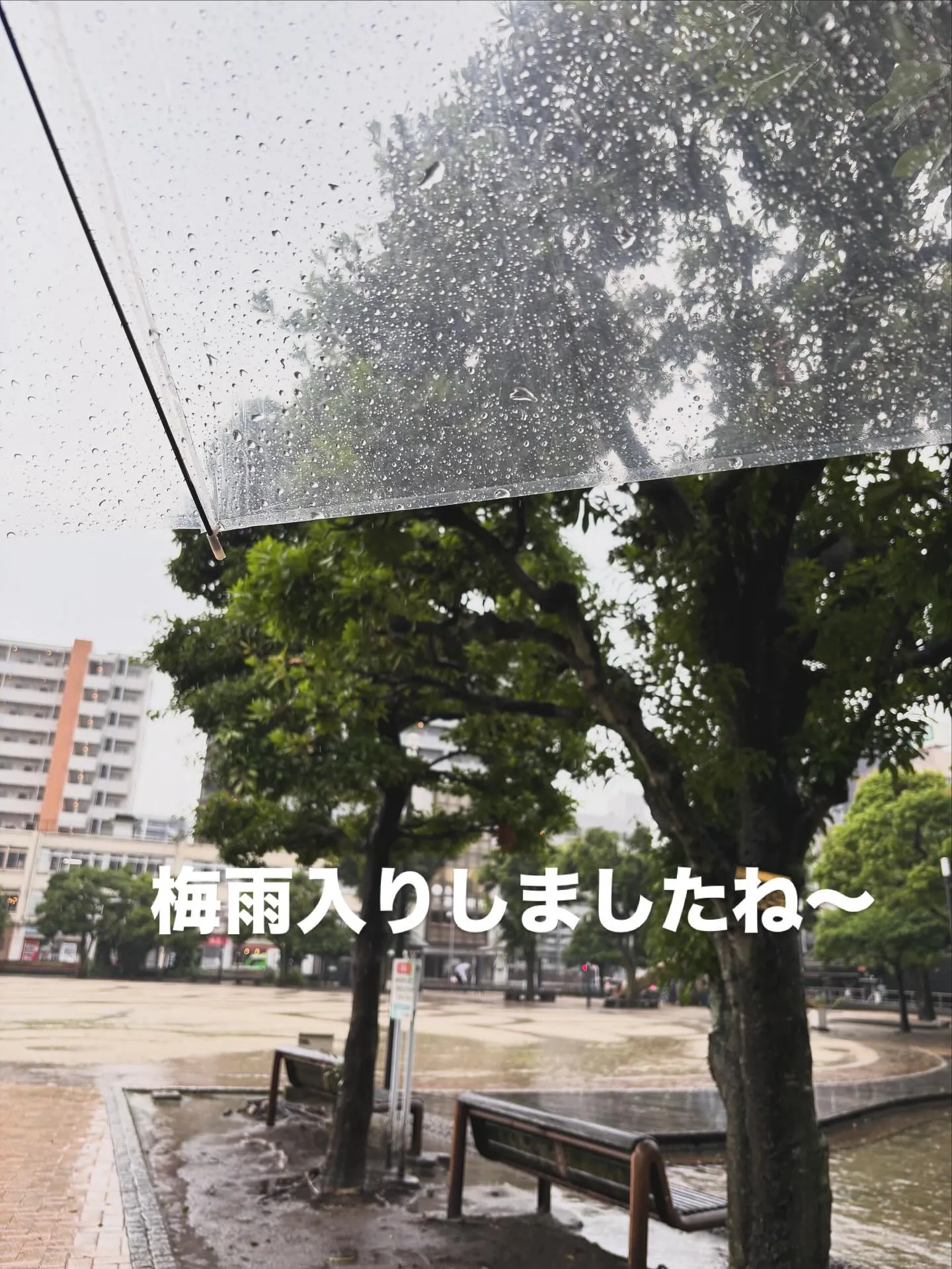 雨☔️ばっかりで嫌になりますねーっ😢