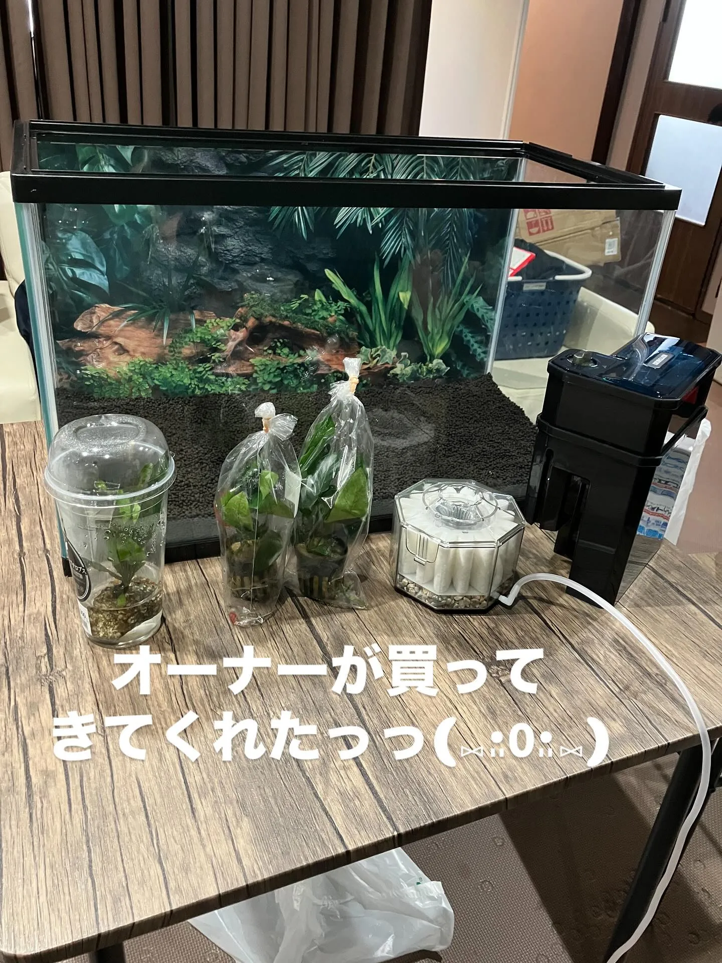 ついに大分店にも、水槽がっっ🥹