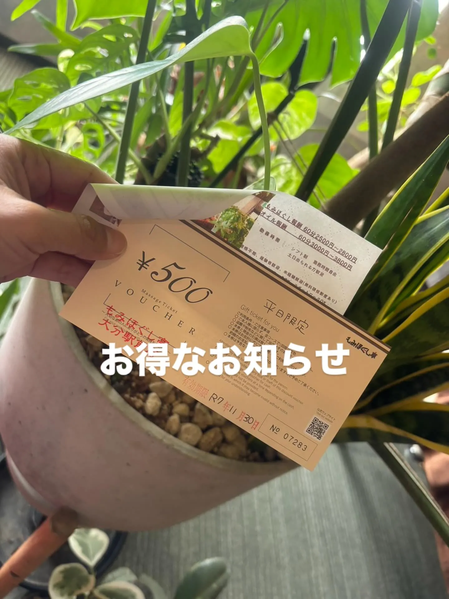 11月15日まで、平日限定で使える500円OFFクーポンをお...