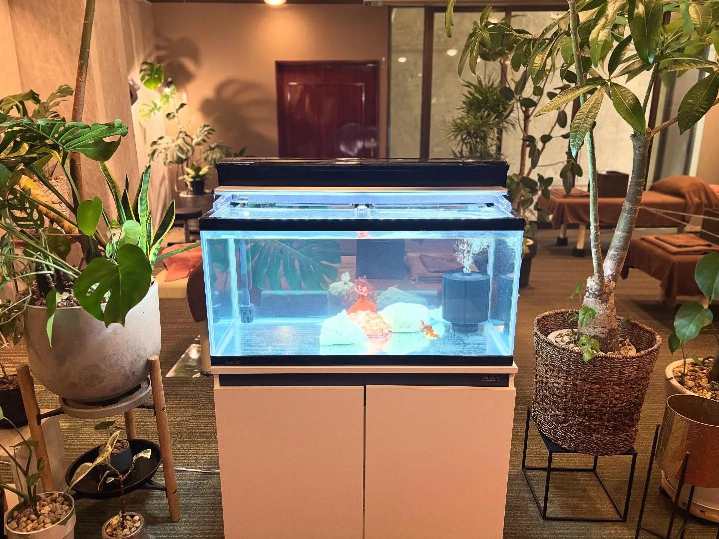 久しぶりに投稿します。