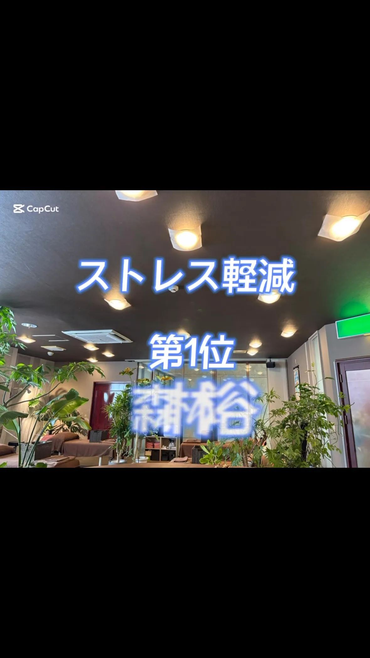 森林浴とマッサージで、心も身体も