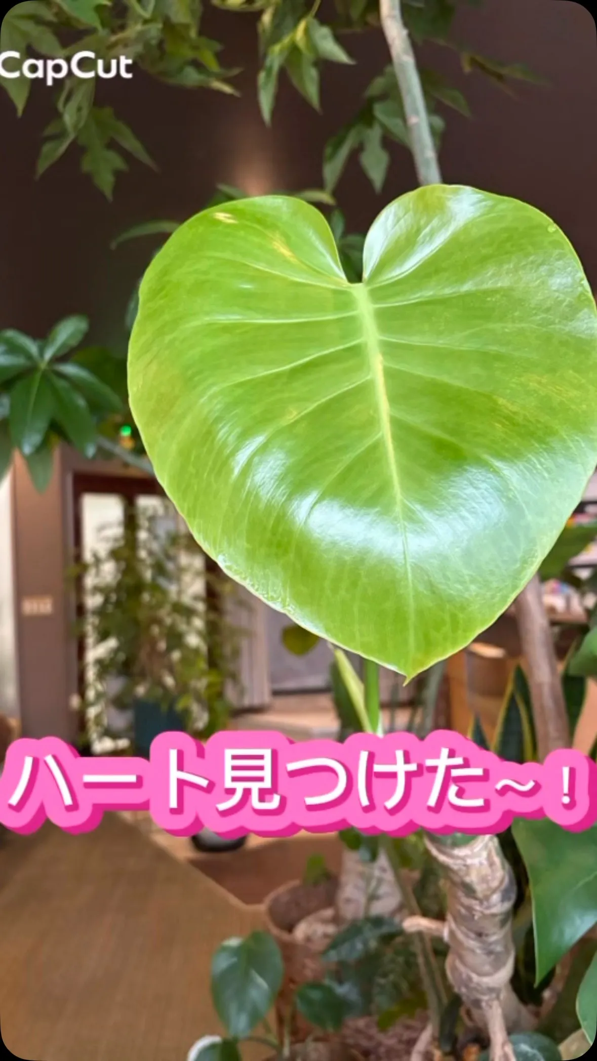♡見つけました🥹！